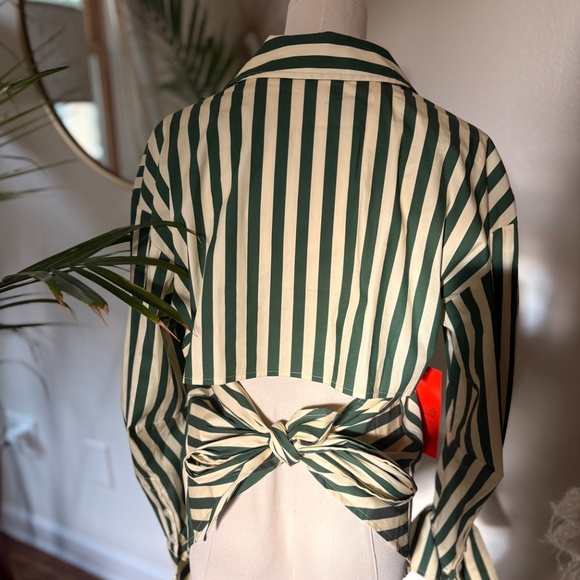 NWT Simon Miller Gummy Green Loch Striped Long Sleeve Button Up - Picture 8 of 8